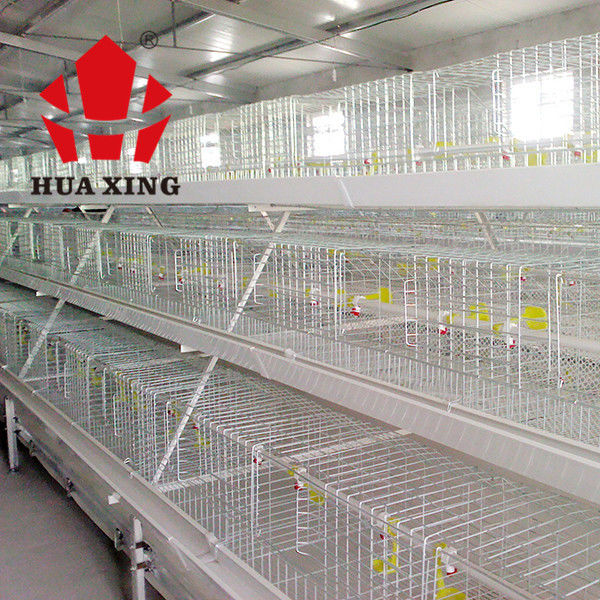 قفص الدجاج الدواجن التجارية انخفض الساخنة شبكة سلكية المواد سهلة التركيب