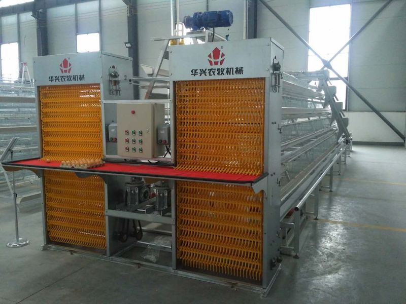 Henan Huaxing Poultry Equipments Co.,Ltd. خط إنتاج المصنع