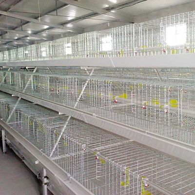 قفص الدجاج اللاحم الفضي الفضي مقاومة درجات الحرارة العالية مع نظام التغذية / EC