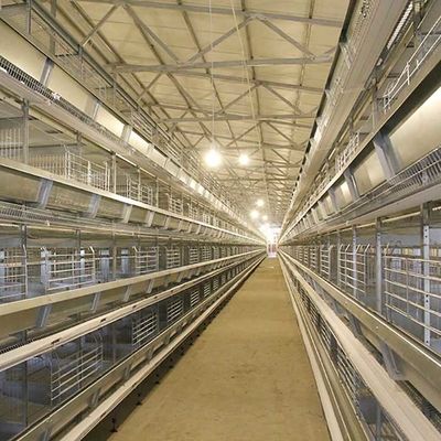 معدات تربية الدواجن ذات الطبقة الأوتوماتيكية نظام قفص طبقة بيض الدجاج بالبطارية