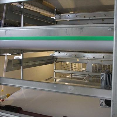 4 طبقات معدات تنظيف مزرعة الدواجن ، آلة مزرعة الدجاج الأوتوماتيكية