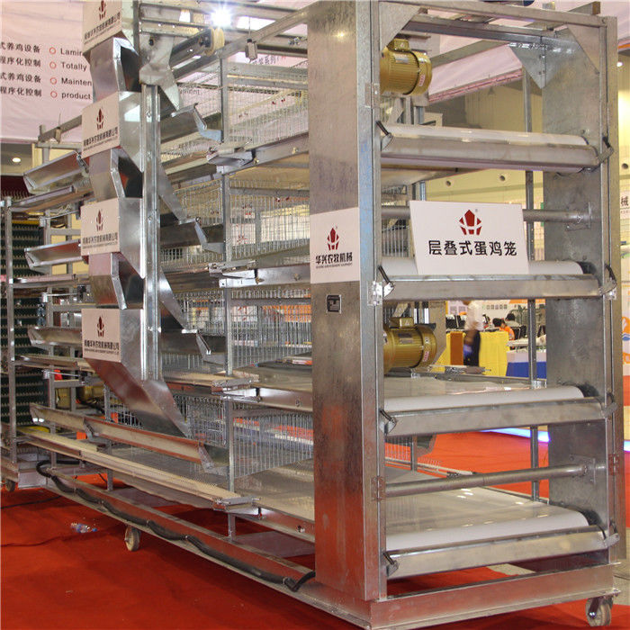 H Type 4 Layer 4 Door Baby Chick Cage فولاذ مجلفن ساخن