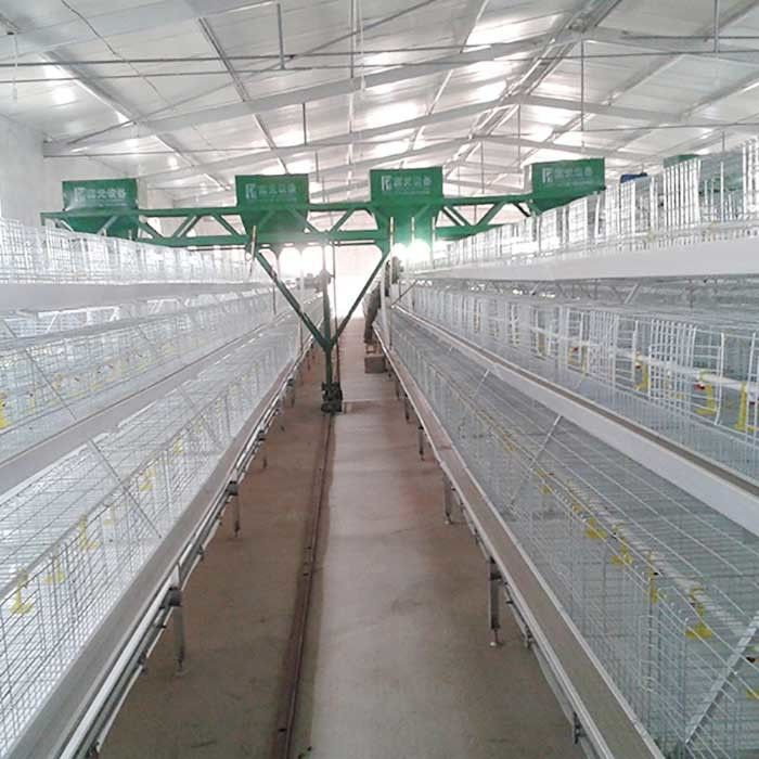 زراعة قفص دجاج التسمين نوع 3 طبقات تحكم آلي سهل التركيب