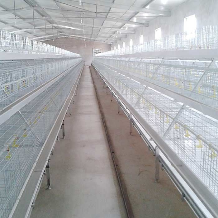 4 طبقات 8 أبواب الدجاج اللاحم قفص Q235 الباردة مسحوب الأسلاك لحام مرونة كبيرة