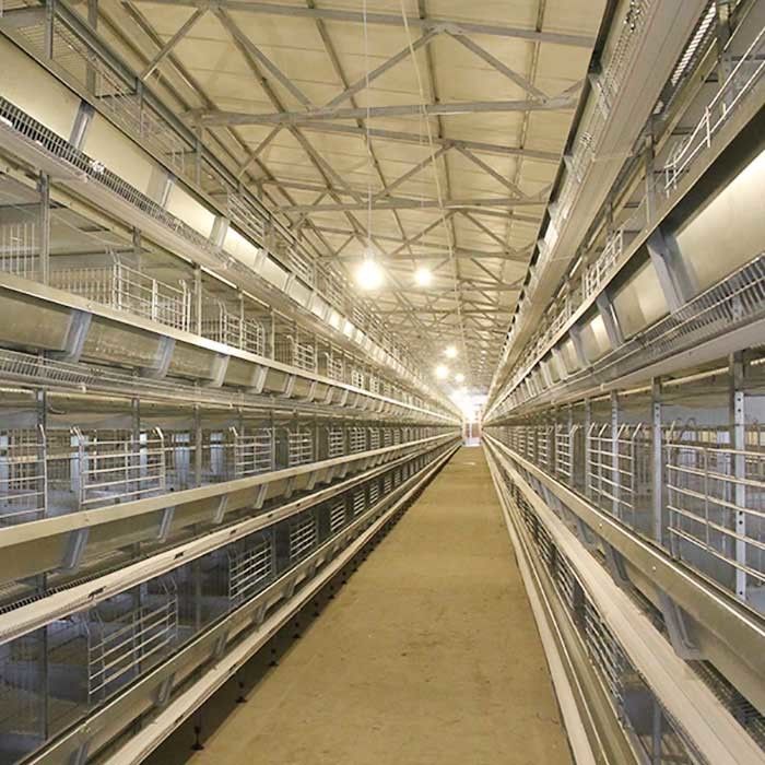 معدات تربية الدواجن ذات الطبقة الأوتوماتيكية نظام قفص طبقة بيض الدجاج بالبطارية