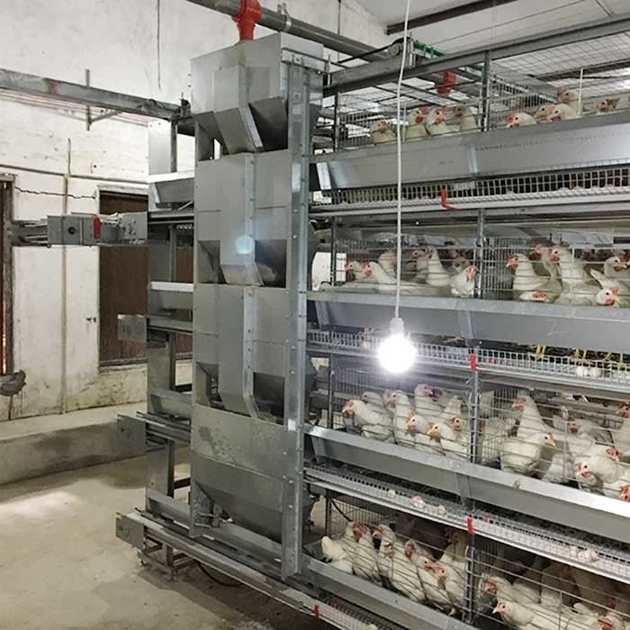 120 * 60 * 70 سم قفص الدجاج الدواجن التحكم الآلي في توفير العمالة صديقة للبيئة
