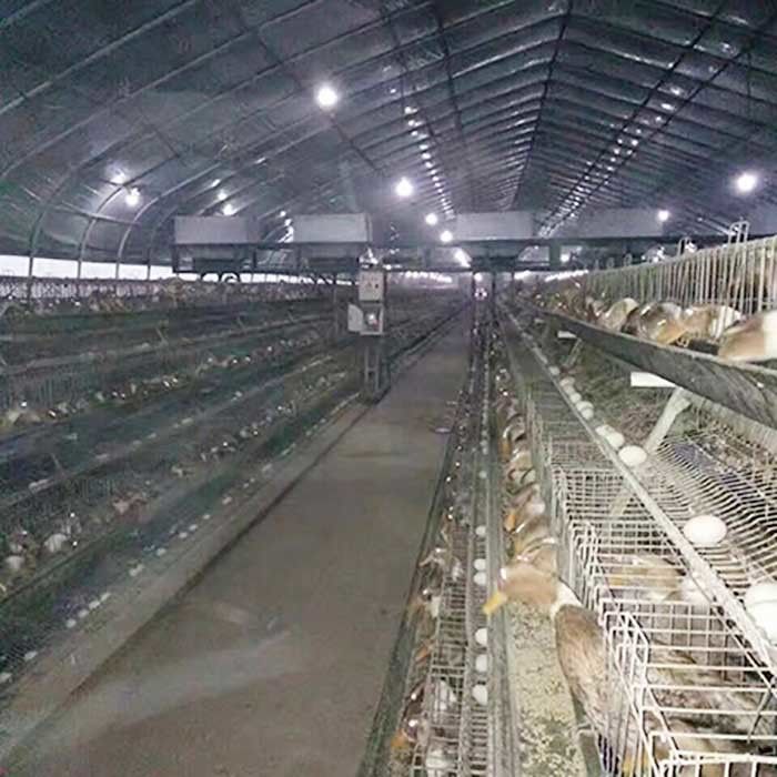 قفص تربية دجاج بطبقة إطار لتربية البط لمزرعة الدواجن