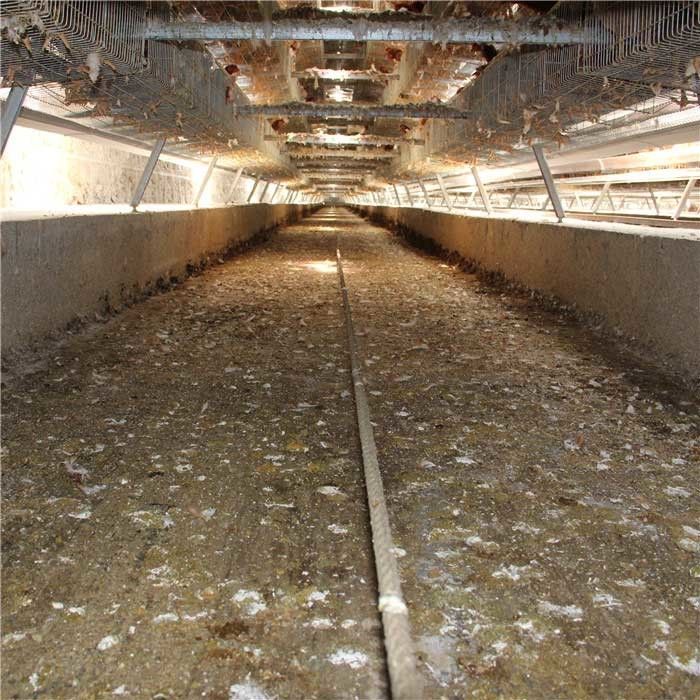 أداء ثابت نظام إزالة السماد التلقائي 0.75kw ضمان طويل للطاقة
