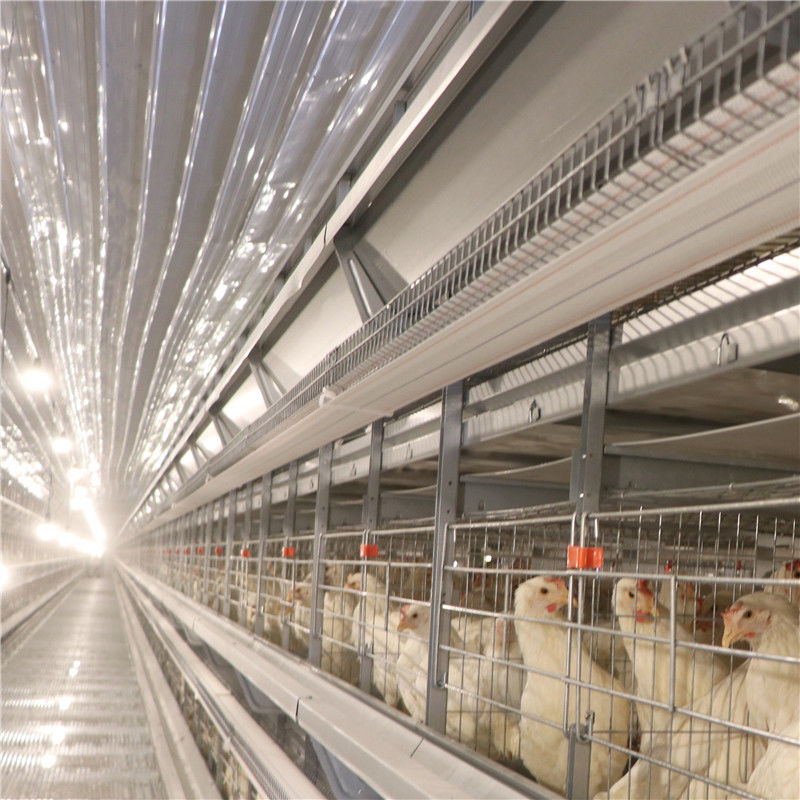 SGS Egg Battery Layer Chicken Cage مزرعة دواجن مقاومة للتآكل