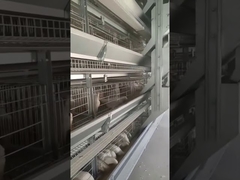 Egg Holding Wired Layer Farming Cage Scientific Designed