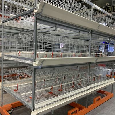 معدات مزرعة الدواجن ذات الطبقة U الشكل الإطار 3 نظام قفص الدجاج البطارية الطبقة لوضع مزارع البيض